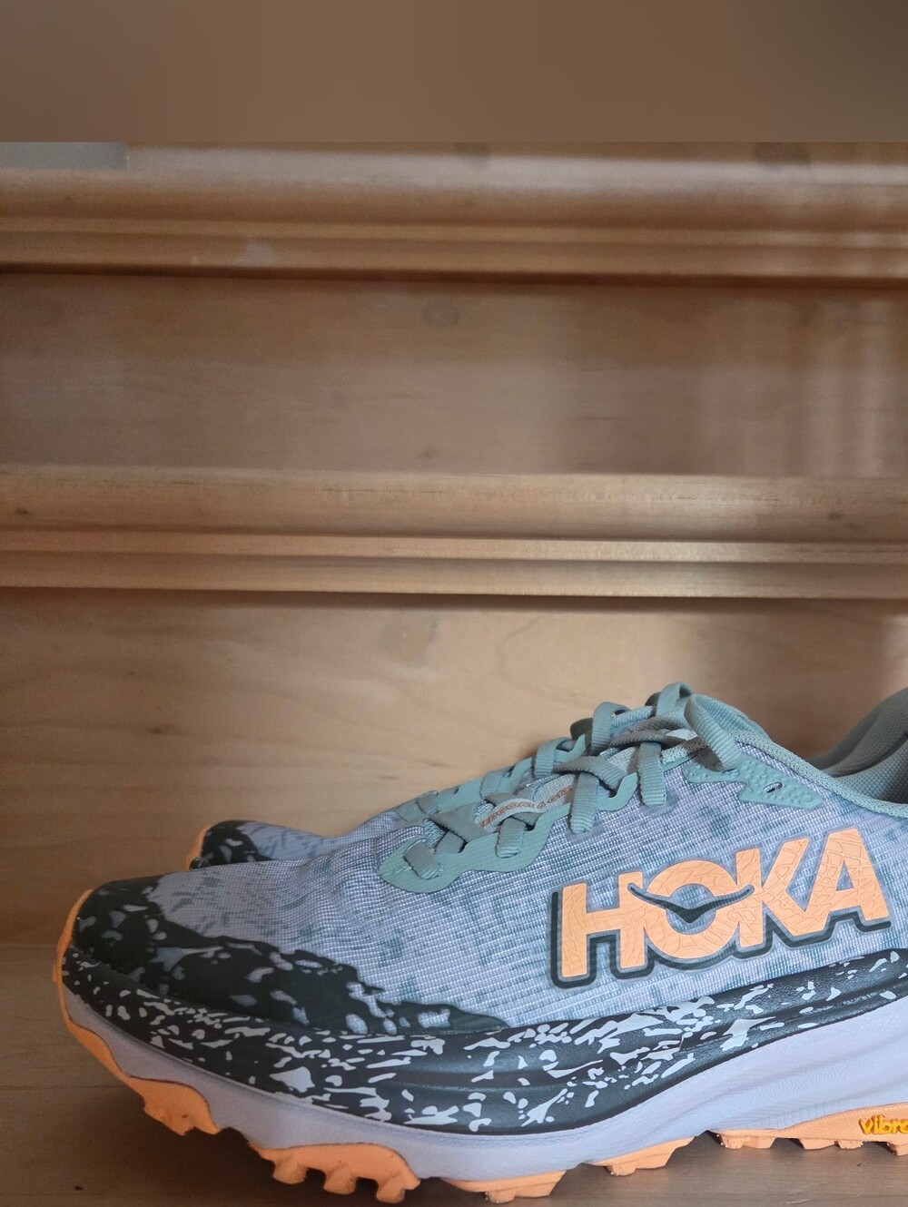Never Worn Hoka Speedgoat 6 GTX Women's Sneakers
